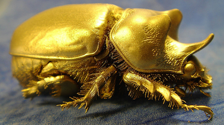 Gold Insect London Great Reason to Own Precious Metals, Even If You’re Not a Gold Bug ...