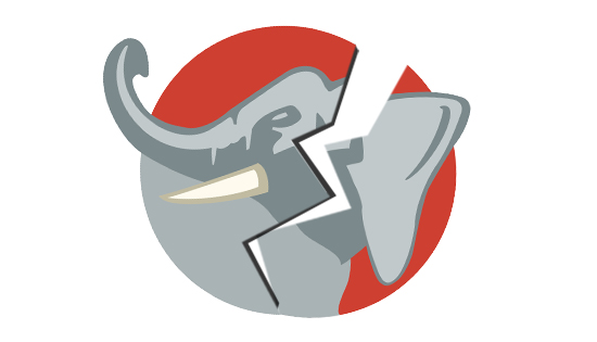 fractured elephant image