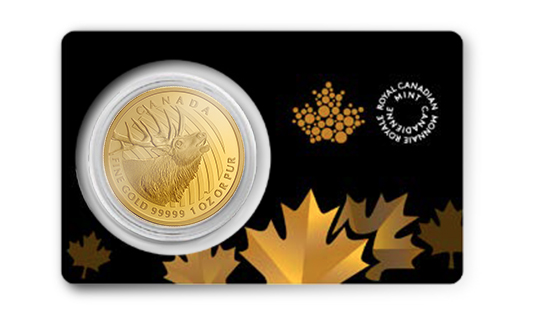 gold elk coin in assay card
