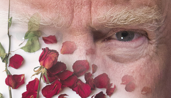 close up of Donald Trump with rose petals